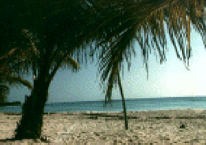 Beach at Porto Allen